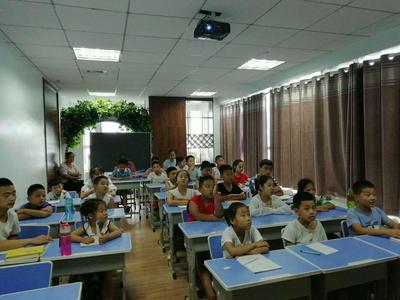 上海市优质全脑开发培训机构推荐与教育科技发展解析